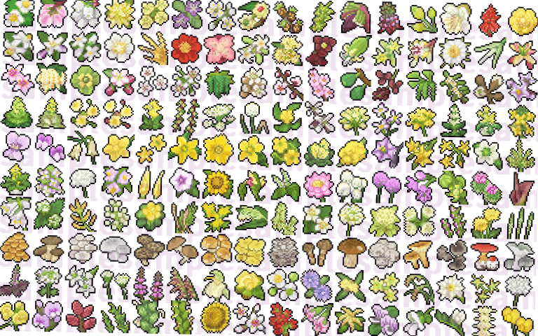 野菜の花(とキノコ)素材 sample2
