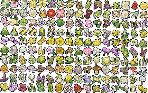 野菜の花(とキノコ)素材 sample3