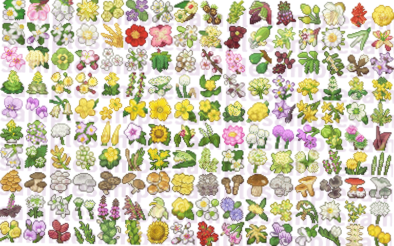 野菜の花(とキノコ)素材 sample5