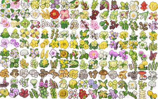 野菜の花(とキノコ)素材 sample6